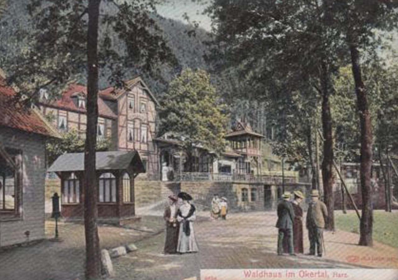 Waldhaus Im Okertal Hotel Goslar Exterior photo